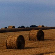campagna