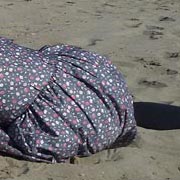 23 aprile 2017. Dinosauri a Passoscuro